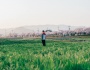 Mùa hoa anh đào tại Gyeongju, Korea