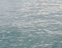 Đảo Dân Sinh - Nha Trang