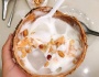 Dừa sáp đặc sản Trà Vinh ai ai cũng mê